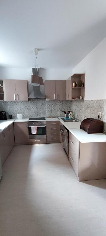 Hysteria Central Flat Oradea Ngoại thất bức ảnh